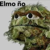weed_judge